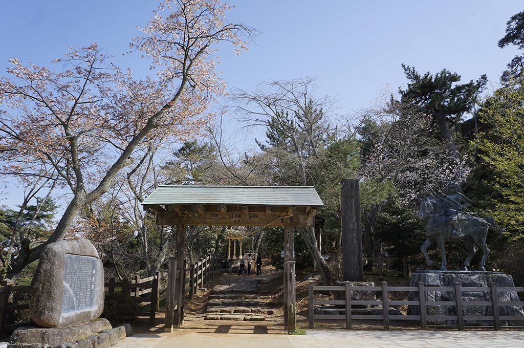 勿来の関公園の桜