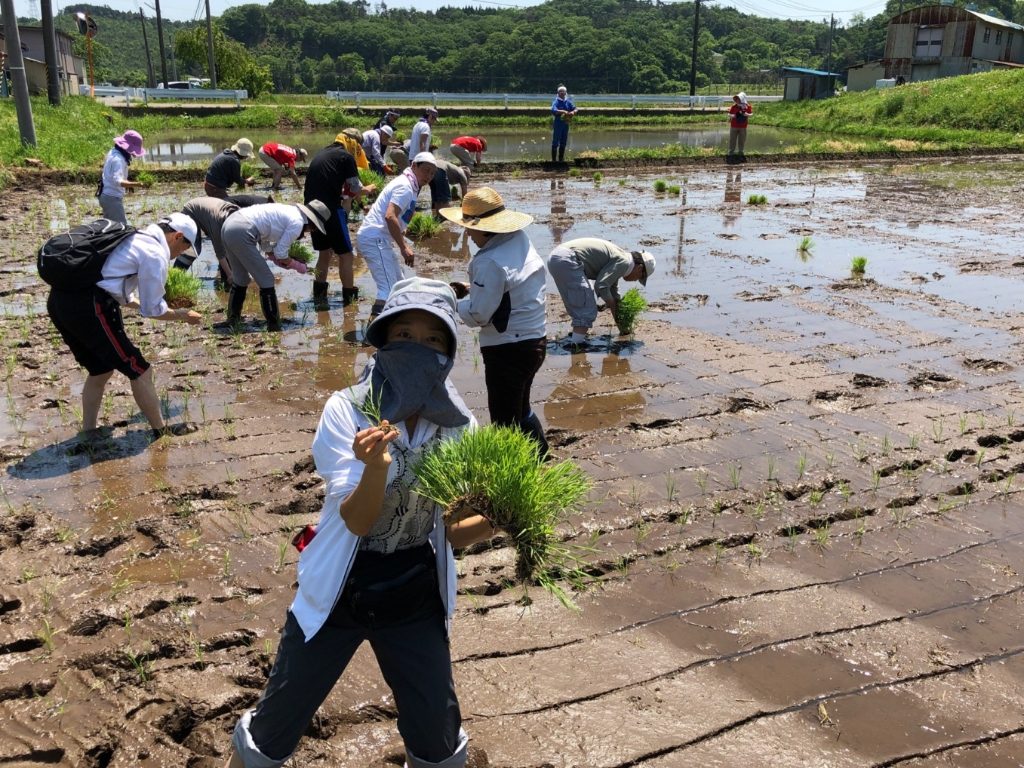 日差しを避けて