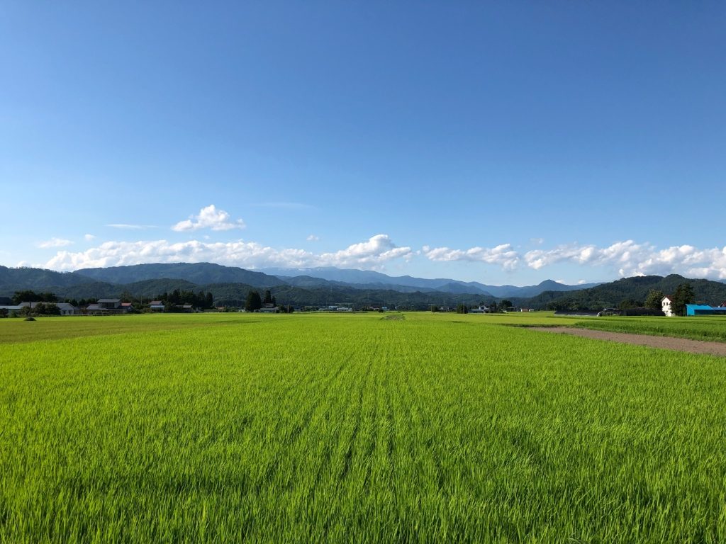 山都までの景色