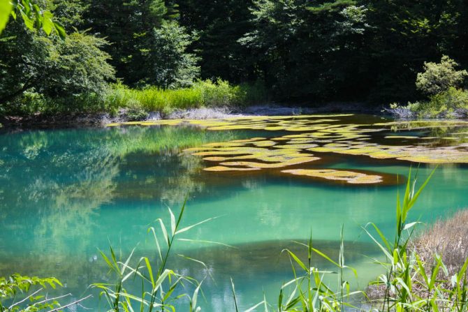 エメラルド、ターコイズ、コバルト…　神秘の湖沼「五色沼」をめぐる自然探勝路を歩いてみよう！