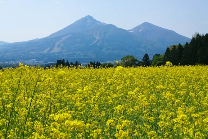 歴史やグルメに観光も！丸一日でまわれる猪苗代町の見どころ特集