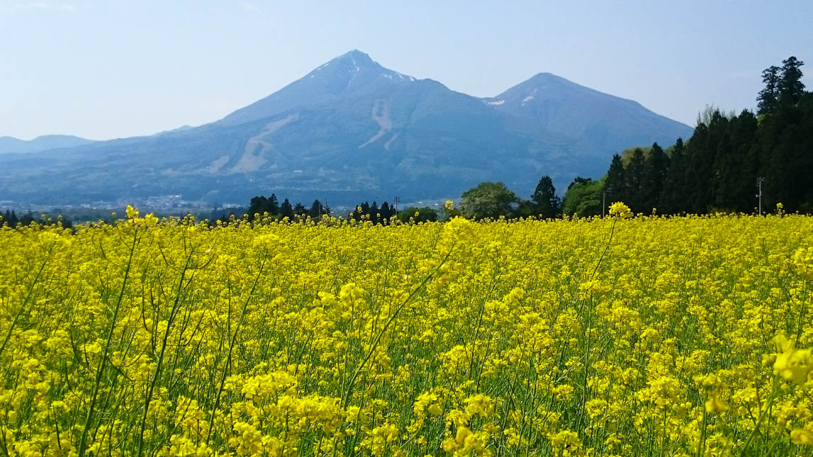 歴史やグルメに観光も 丸一日でまわれる猪苗代町の見どころ特集 福島trip 歴史やグルメに観光も 丸一日でまわれる猪苗代町の見どころ特集 福島trip