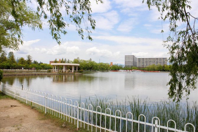 今日は何して遊ぶ？「開成山公園」は歩き始めの子供でも外遊びができるスポットとしてオススメ