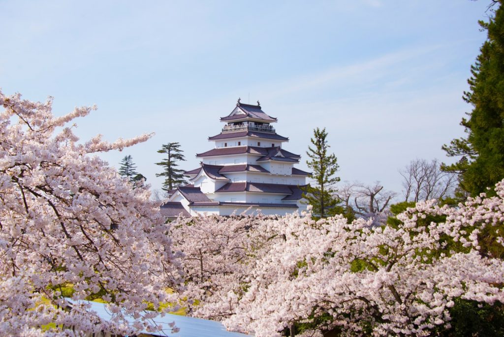 鶴ヶ城の桜