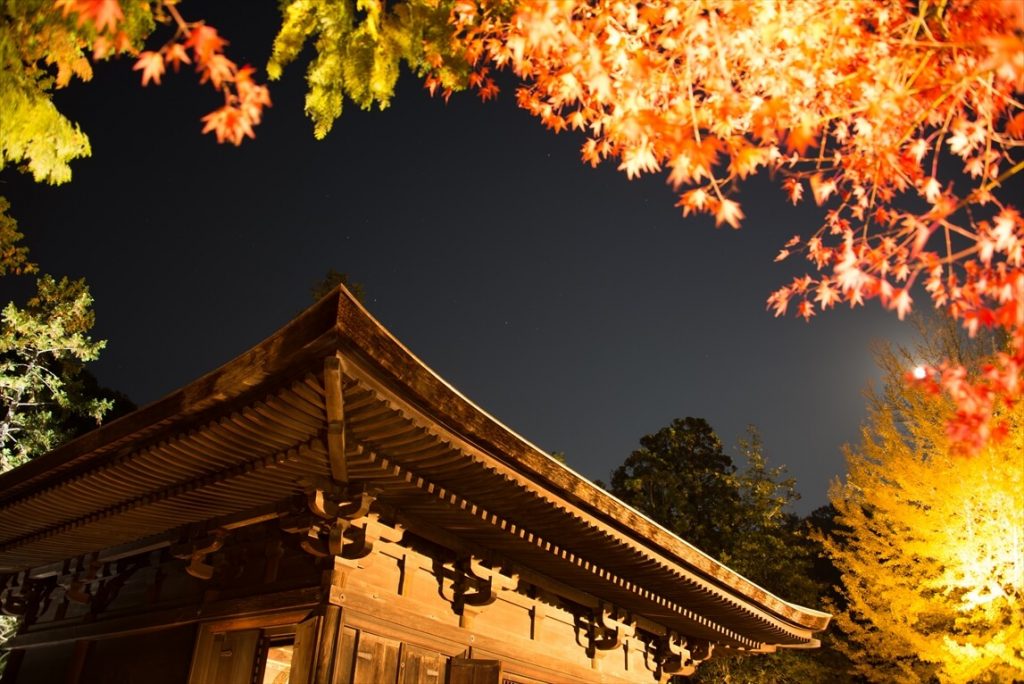 白水阿弥陀堂（寺院）２