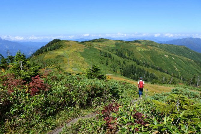 秋山シーズン到来！日本百名山「会津駒ヶ岳」に広がる大湿原と草紅葉は必見