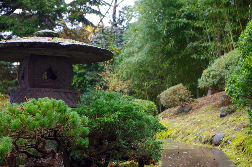 御薬園　園内