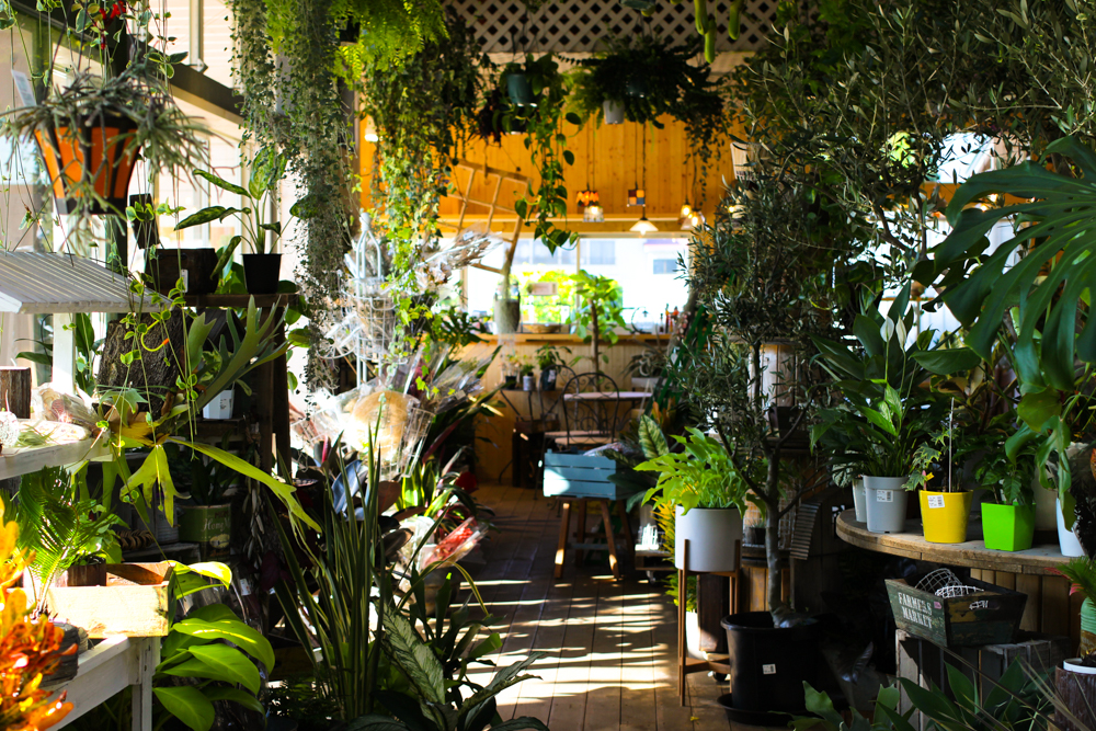 0品種以上の植物が並ぶ まるで植物園のようなカフェ Ca Ga 福島trip