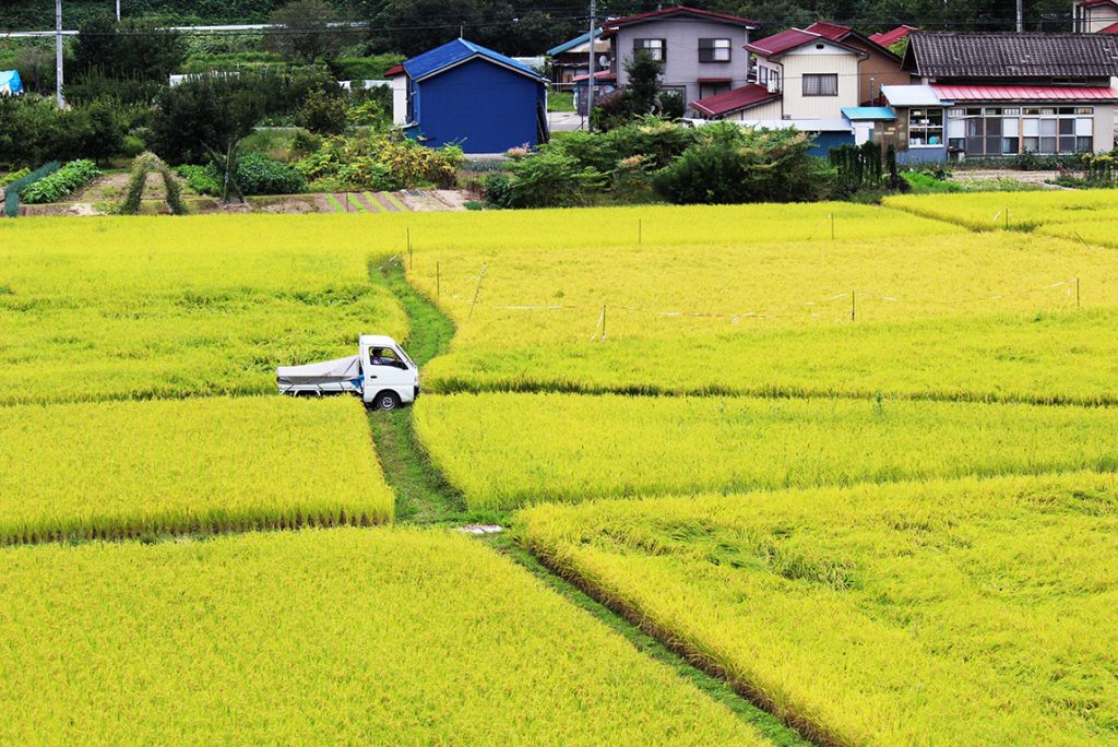 田園風景