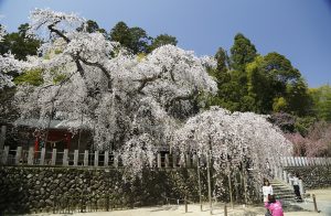 小川諏訪神社