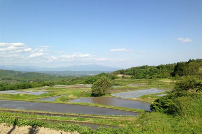 森のはこ舟アートプロジェクト