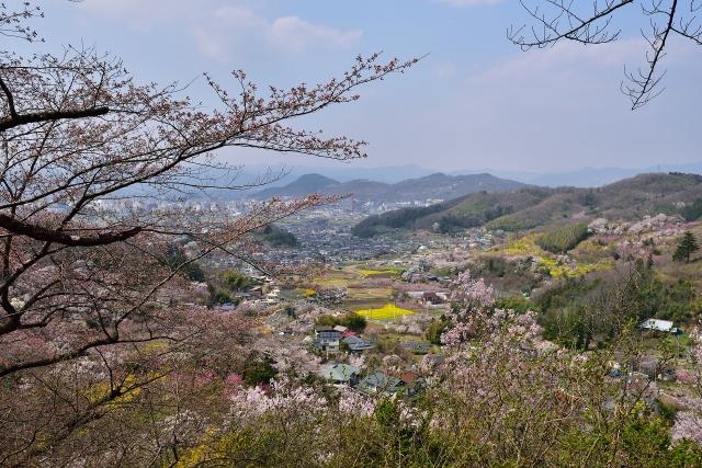 花見山から見下ろす福島盆地