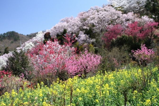 フォトジェニックな景色に感動！ 福島市の自然美を感じる旅