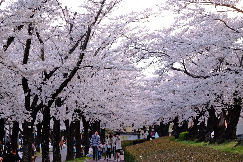 開成山公園