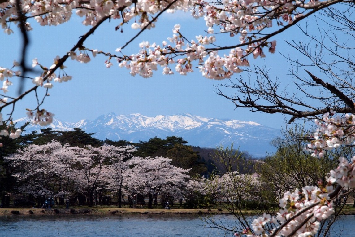 南湖公園