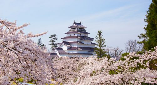 鶴ヶ城の桜